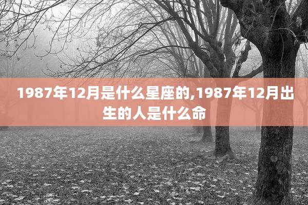 1987年12月是什么星座的,1987年12月出生的人是什么命