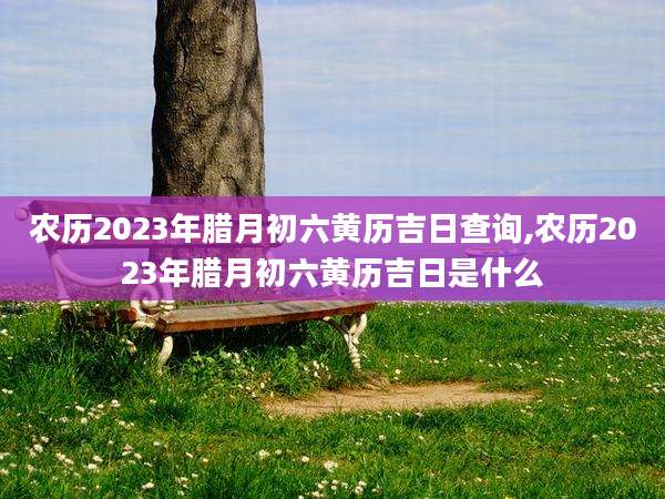农历2023年腊月初六黄历吉日查询,农历2023年腊月初六黄历吉日是什么