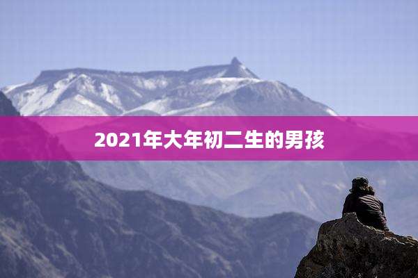 2021年大年初二生的男孩