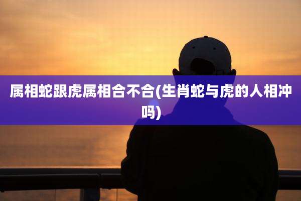 属相蛇跟虎属相合不合(生肖蛇与虎的人相冲吗)