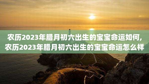 农历2023年腊月初六出生的宝宝命运如何,农历2023年腊月初六出生的宝宝命运怎么样