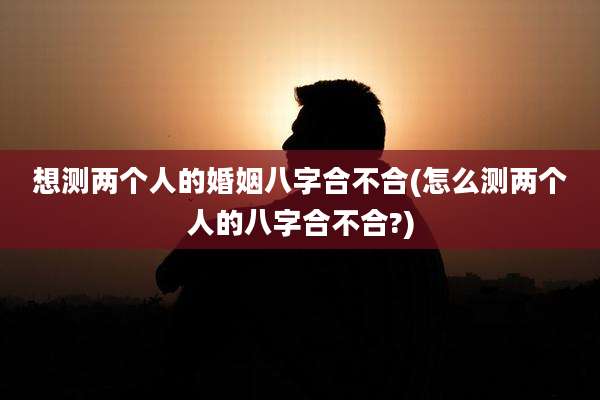 想测两个人的婚姻八字合不合(怎么测两个人的八字合不合?)