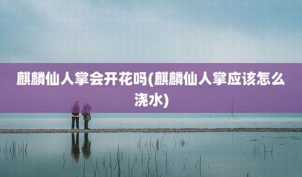 麒麟仙人掌会开花吗(麒麟仙人掌应该怎么浇水)