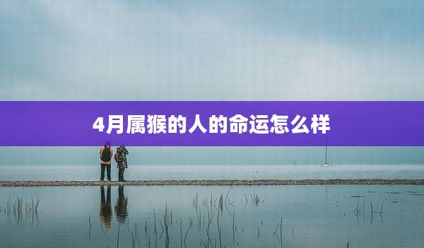 4月属猴的人的命运怎么样