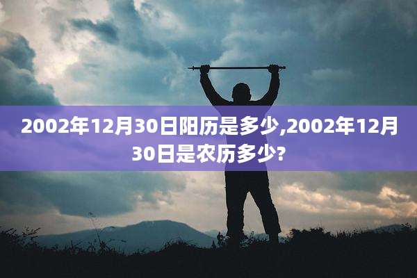2002年12月30日阳历是多少,2002年12月30日是农历多少?