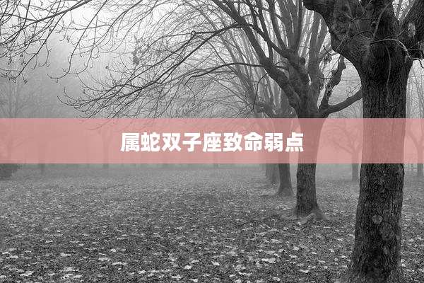 属蛇双子座致命弱点