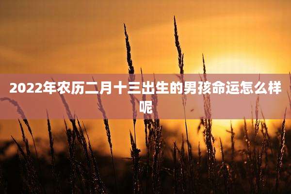 2022年农历二月十三出生的男孩命运怎么样呢