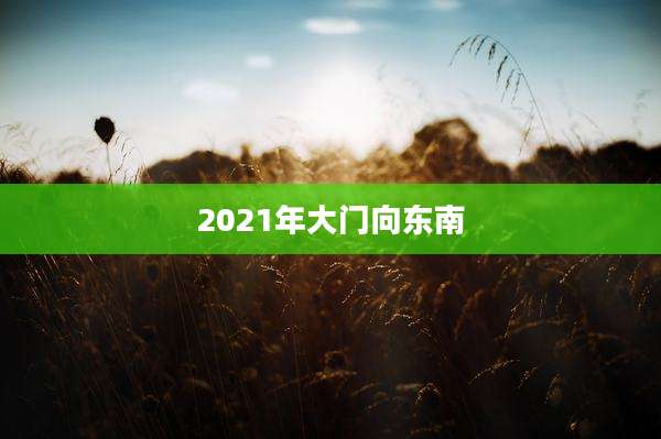 2021年大门向东南
