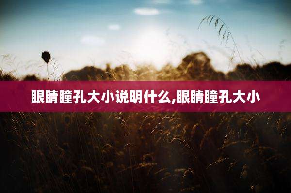 眼睛瞳孔大小说明什么,眼睛瞳孔大小