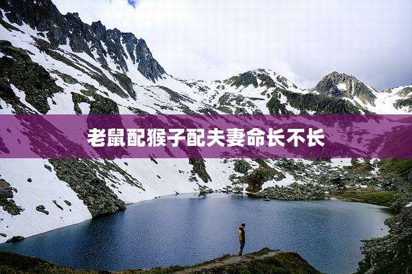 老鼠配猴子配夫妻命长不长