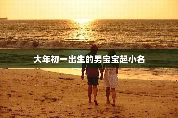 大年初一出生的男宝宝起小名
