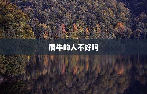 属牛的人不好吗