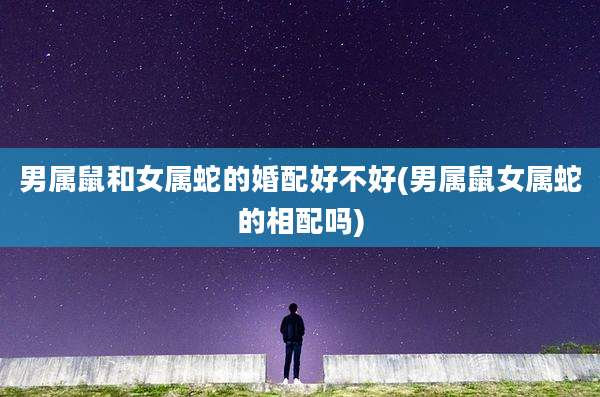 男属鼠和女属蛇的婚配好不好(男属鼠女属蛇的相配吗)