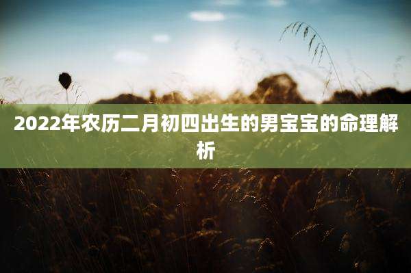 2022年农历二月初四出生的男宝宝的命理解析
