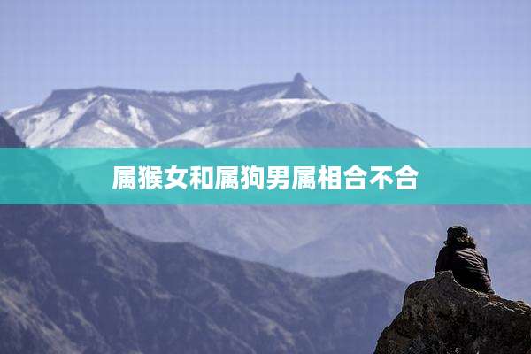 属猴女和属狗男属相合不合