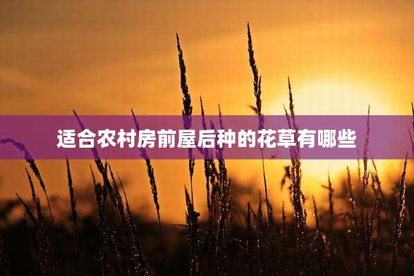 适合农村房前屋后种的花草有哪些