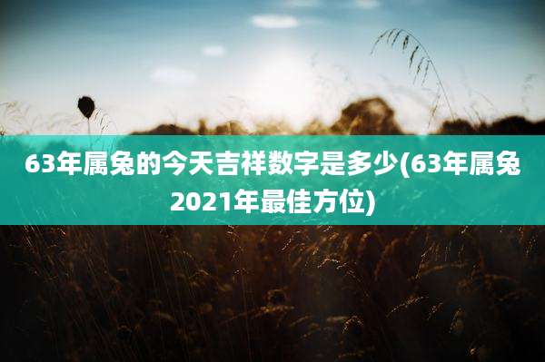 63年属兔的今天吉祥数字是多少(63年属兔2021年最佳方位)