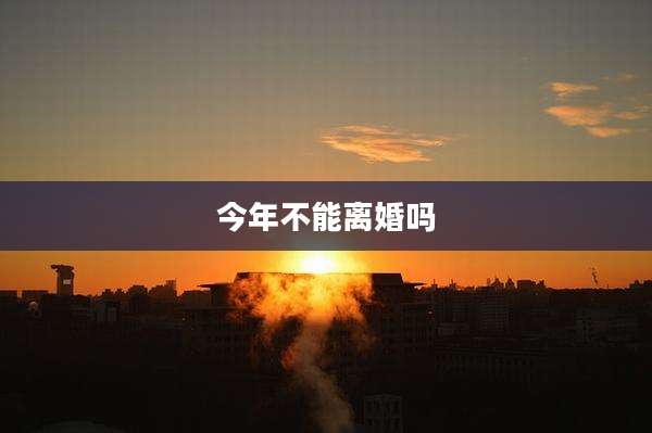 今年不能离婚吗