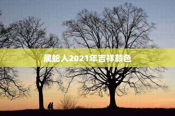 属蛇人2021年吉祥颜色