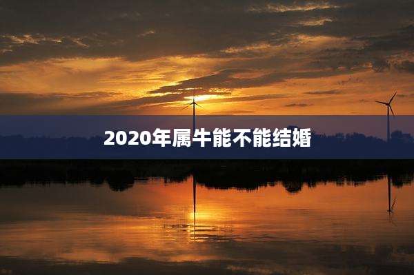 2020年属牛能不能结婚