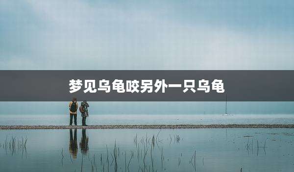 梦见乌龟咬另外一只乌龟