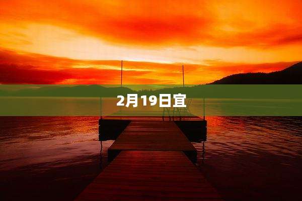 2月19日宜