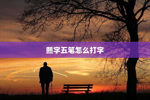 熙字五笔怎么打字