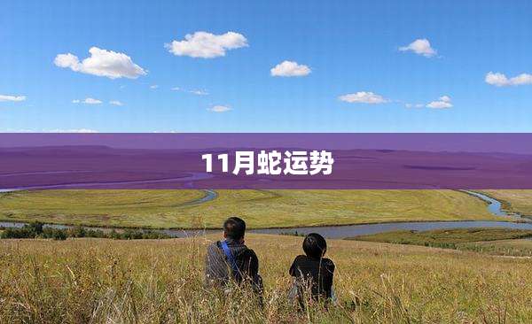 11月蛇运势