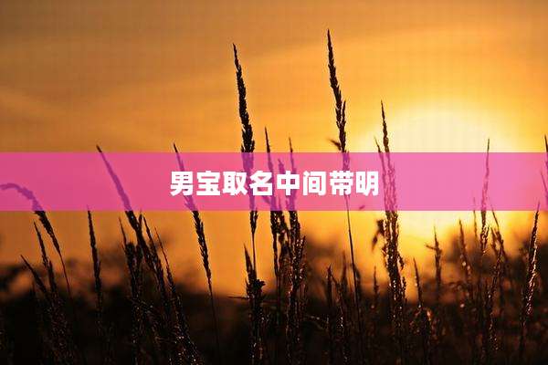 男宝取名中间带明
