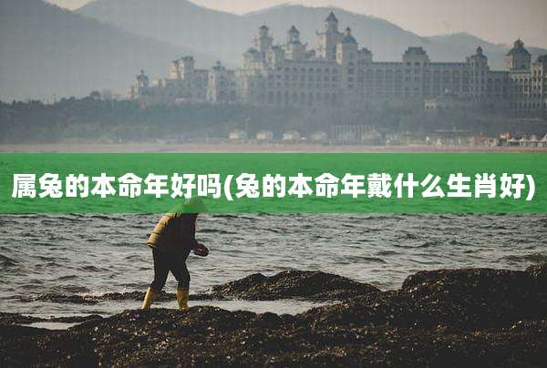 属兔的本命年好吗(兔的本命年戴什么生肖好)