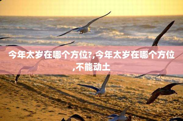今年太岁在哪个方位?,今年太岁在哪个方位,不能动土
