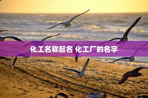 化工名称起名 化工厂的名字