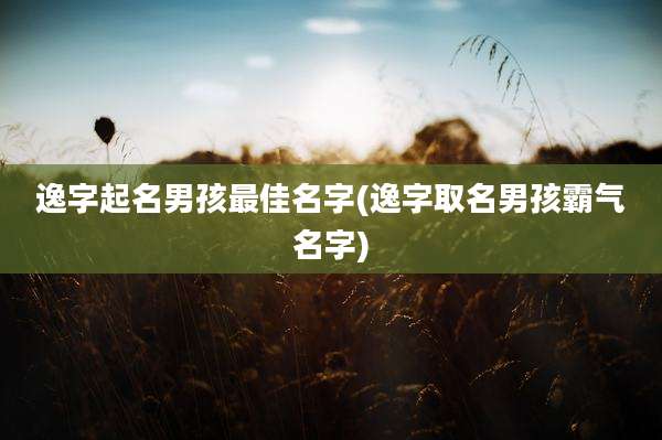 逸字起名男孩最佳名字(逸字取名男孩霸气名字)