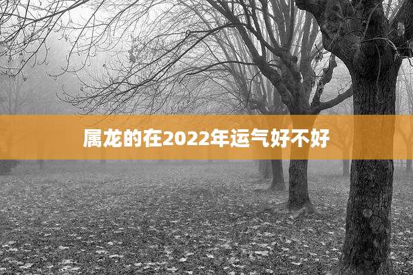 属龙的在2022年运气好不好
