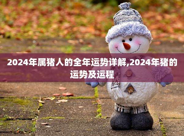 2024年属猪人的全年运势详解,2024年猪的运势及运程