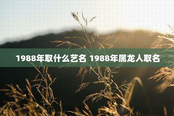 1988年取什么艺名 1988年属龙人取名