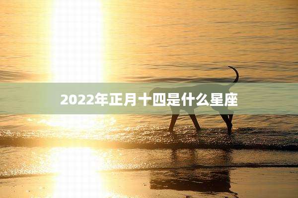 2022年正月十四是什么星座