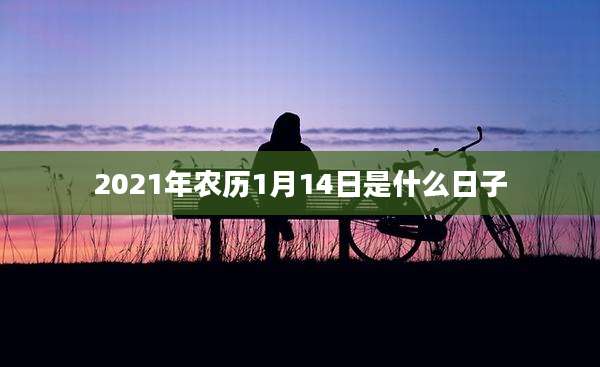 2021年农历1月14日是什么日子