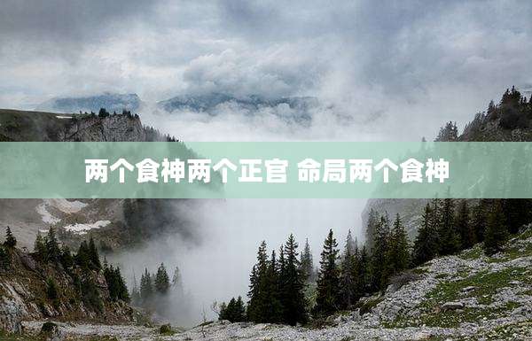 两个食神两个正官 命局两个食神