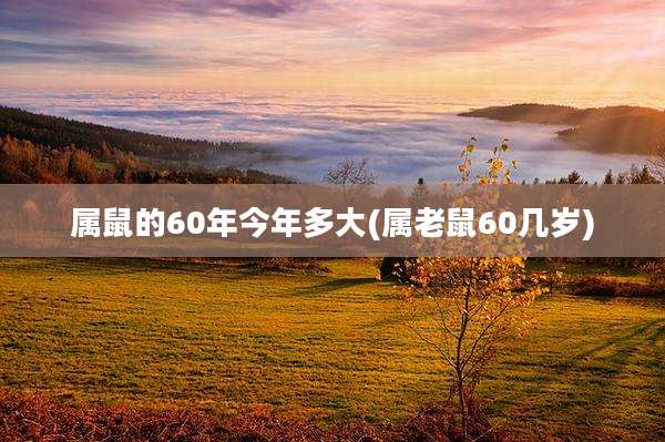 属鼠的60年今年多大(属老鼠60几岁)