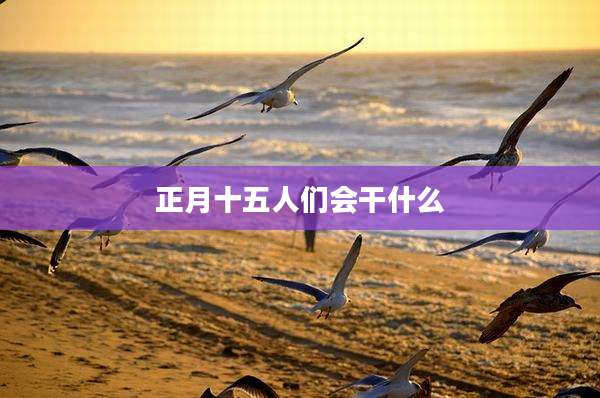 正月十五人们会干什么