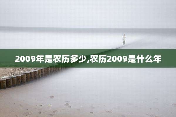 2009年是农历多少,农历2009是什么年