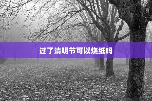 过了清明节可以烧纸吗