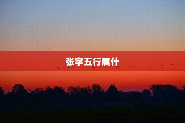 张字五行属什