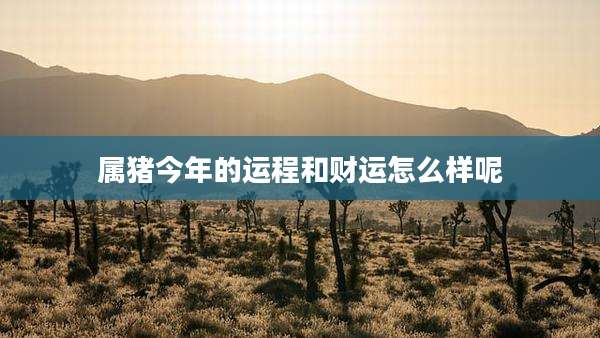 属猪今年的运程和财运怎么样呢