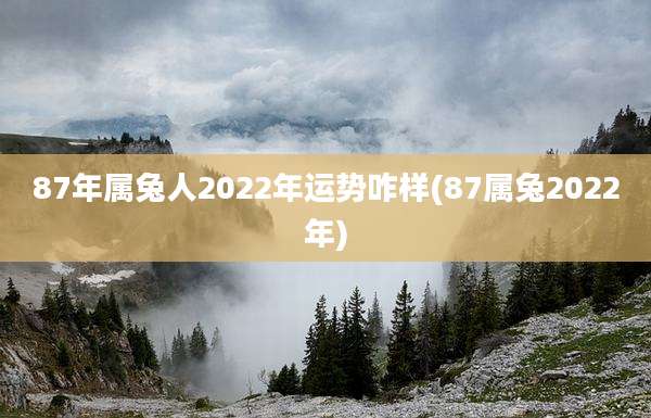 87年属兔人2022年运势咋样(87属兔2022年)