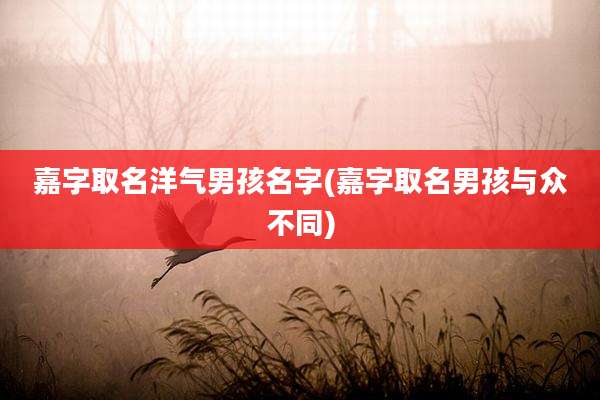 嘉字取名洋气男孩名字(嘉字取名男孩与众不同)
