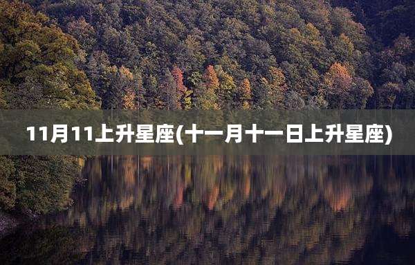 11月11上升星座(十一月十一日上升星座)