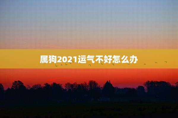 属狗2021运气不好怎么办
