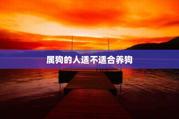 属狗的人适不适合养狗
